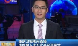 重庆电视直播在线观看,尽在指尖——重庆电视直播在线观看指南